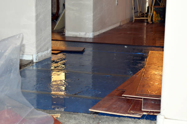 Professional Basement Flood Cleanup technician working in Wilson, OK